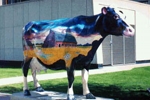 CalgaryArts & Culture